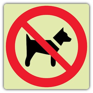 Photoluminescent No Dogs Allowed  Symbol