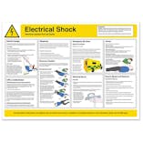 Electrical Shock Safety Poster
