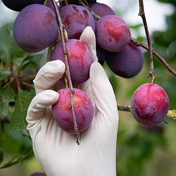 slider-image-2