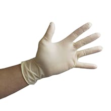 Economy White Nitrile Powder Free Gloves