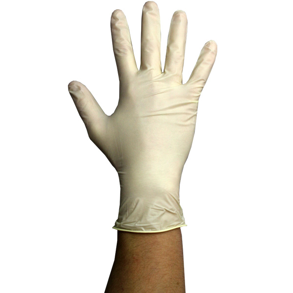 economy-white-powder-free-nitrile-gloves.jpg