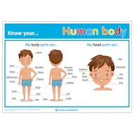 Know Your... Human Body Poster