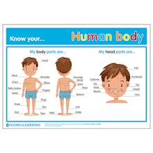 Know Your... Human Body Poster