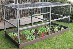 Raised Bed Fruit Cages