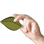 Polyco Compostable Disposable Gloves