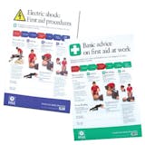 HSE First Aid Wallcharts