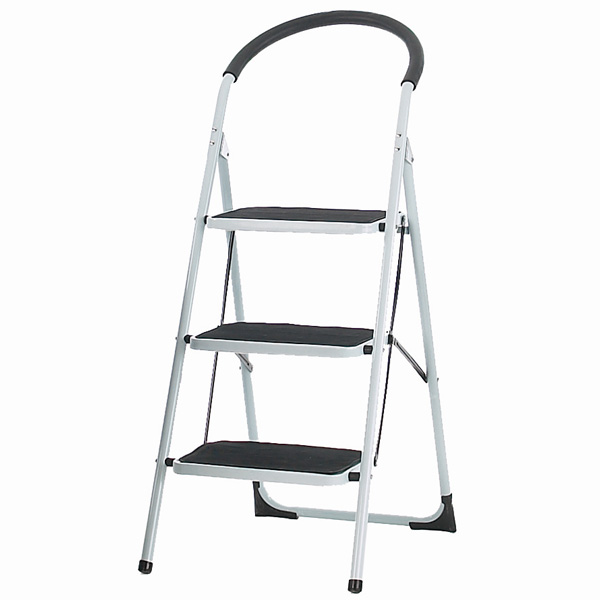 ladder-1.jpg