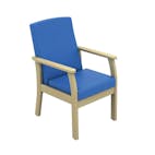 Patient Low Back Arm Chair