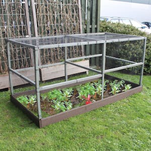 Raised Bed Fruit Cages
