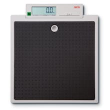 Seca 875 Flat Scales