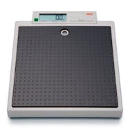 Seca 877 Flat Scales