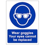 Wear Goggles Your Eyes Cannot Be Replaced - Portrait