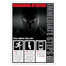 Marauding Attacker Poster 