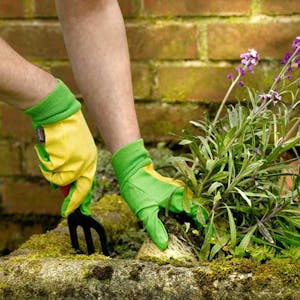 Gardening Gloves