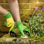 `The Gardener` Gardening Gloves