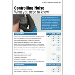 Controlling Damage From Noise At Work